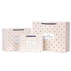 Boutique Craft Paper Gift Bags , Cute Goodie Bags White Paper Board supplier