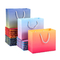 Hologram Effect Printed Paper Carrier Bags With Ribbon Handle Pantone